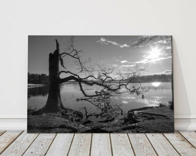 Black and white Tatton Park Lake photograph on canvas