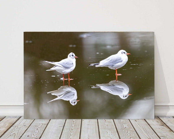 Wall Art Canvas Gulls on Ice Photograph